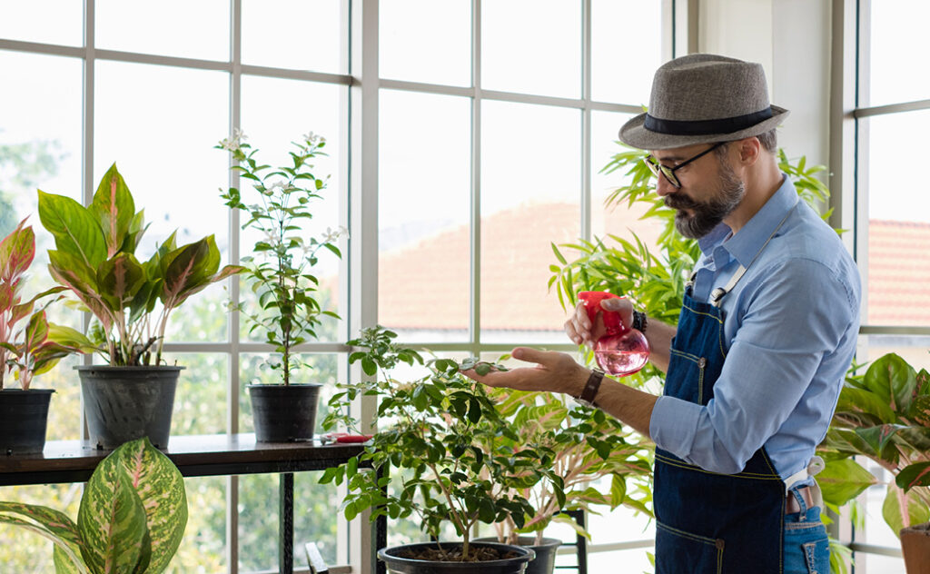 Middle Aged man watering house plants with spray bottle