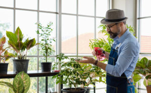 Middle Aged man watering house plants with spray bottle